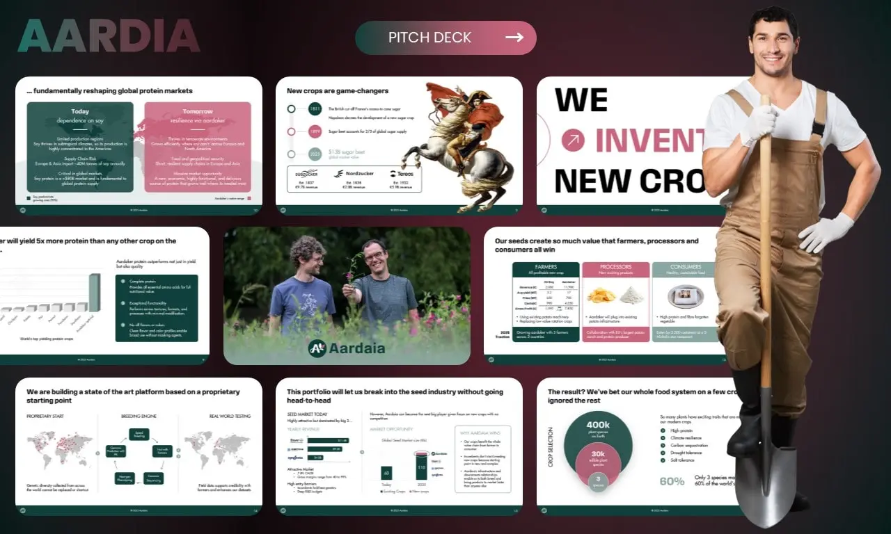 Veyx Global Portfolio 5